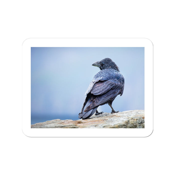 The Raven of Ireland Sticker