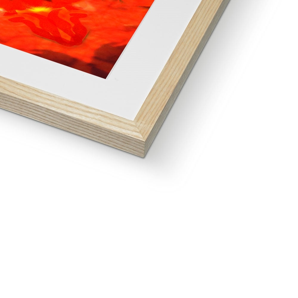 Fire Elemental Mandala Framed & Mounted Print