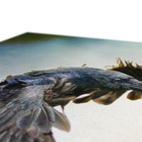 Odin's Ravens Canvas