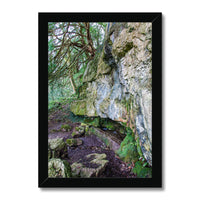 Yew guardian Framed Print