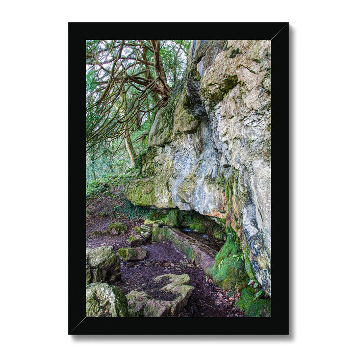 Yew guardian Framed Print
