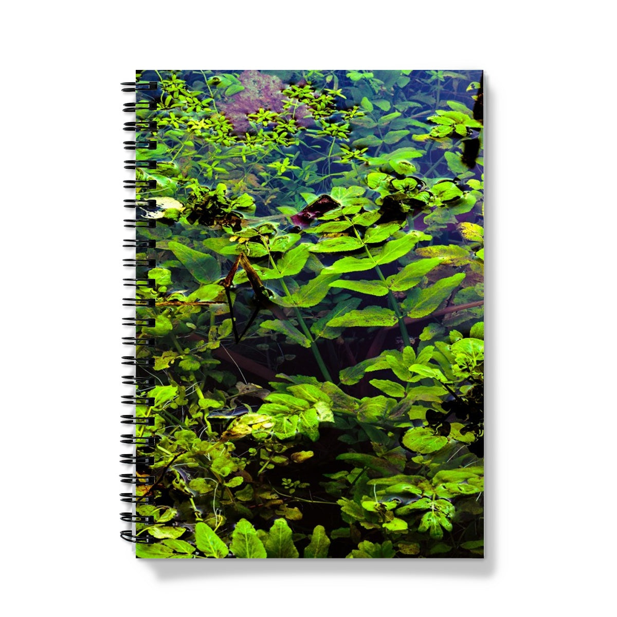 Woodwell Pool Notebook