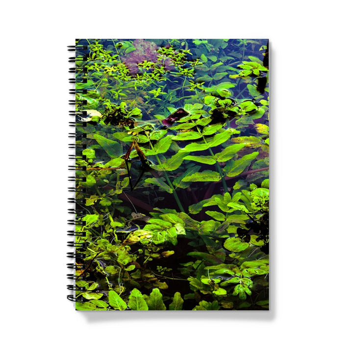 Woodwell Pool Notebook