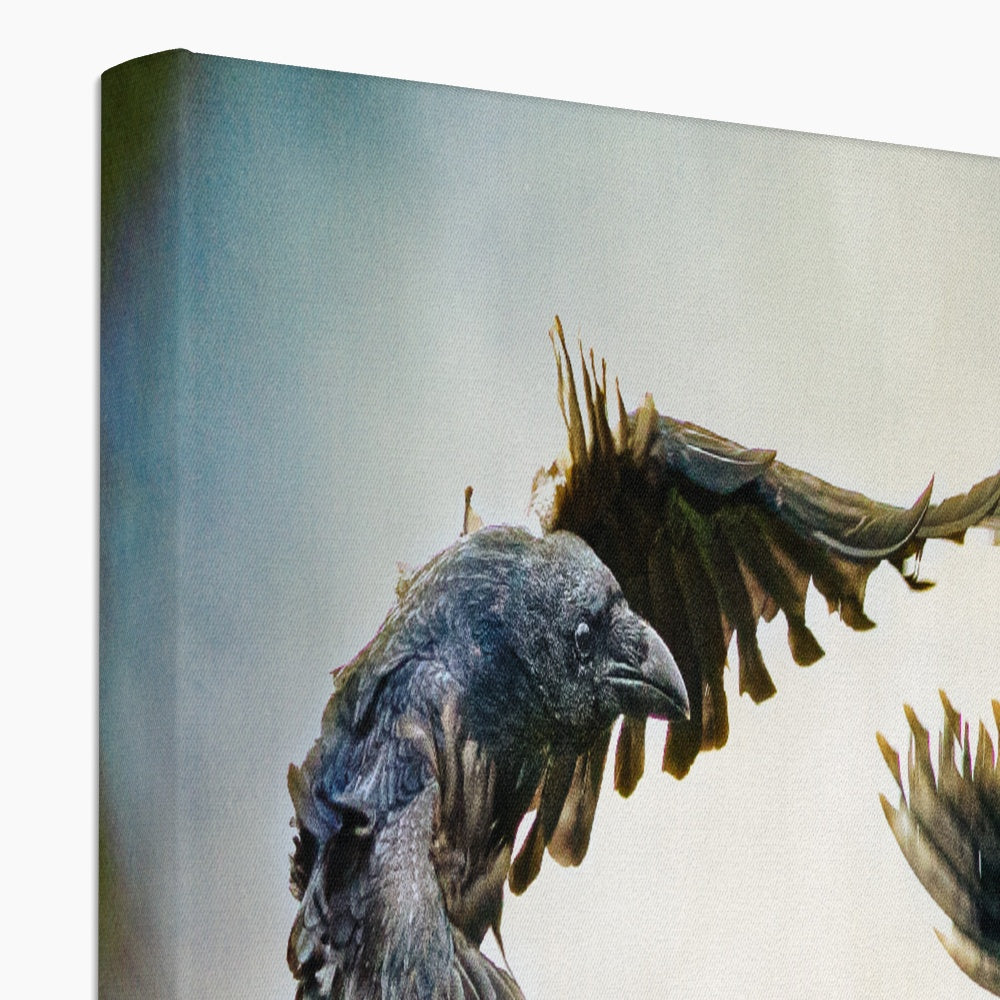 Odin's Ravens Canvas