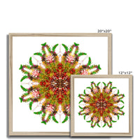 Bounty Mandala Framed Print