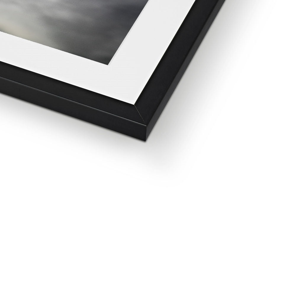 Storm Raven 1 Framed & Mounted Print