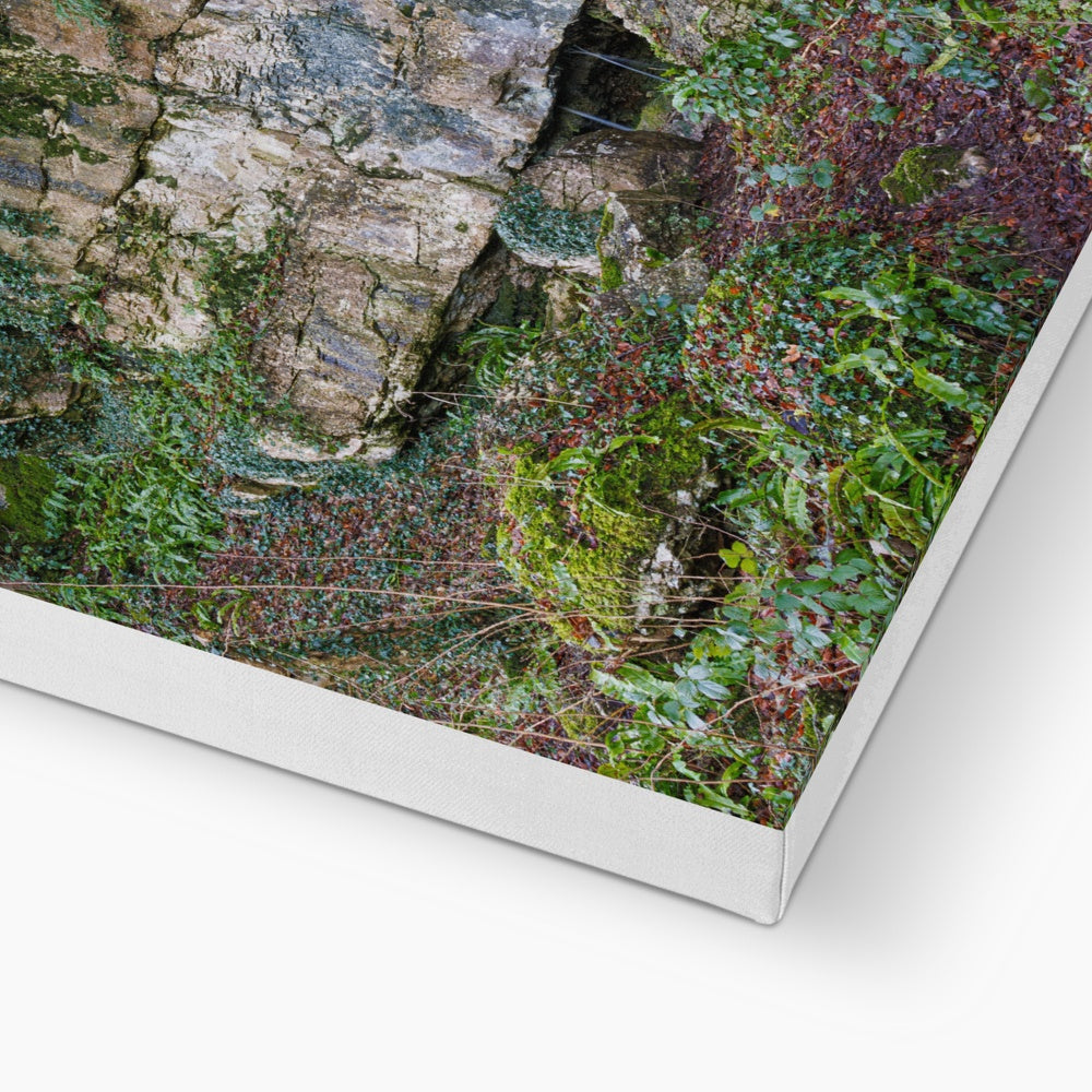Woodwell Mystery Canvas