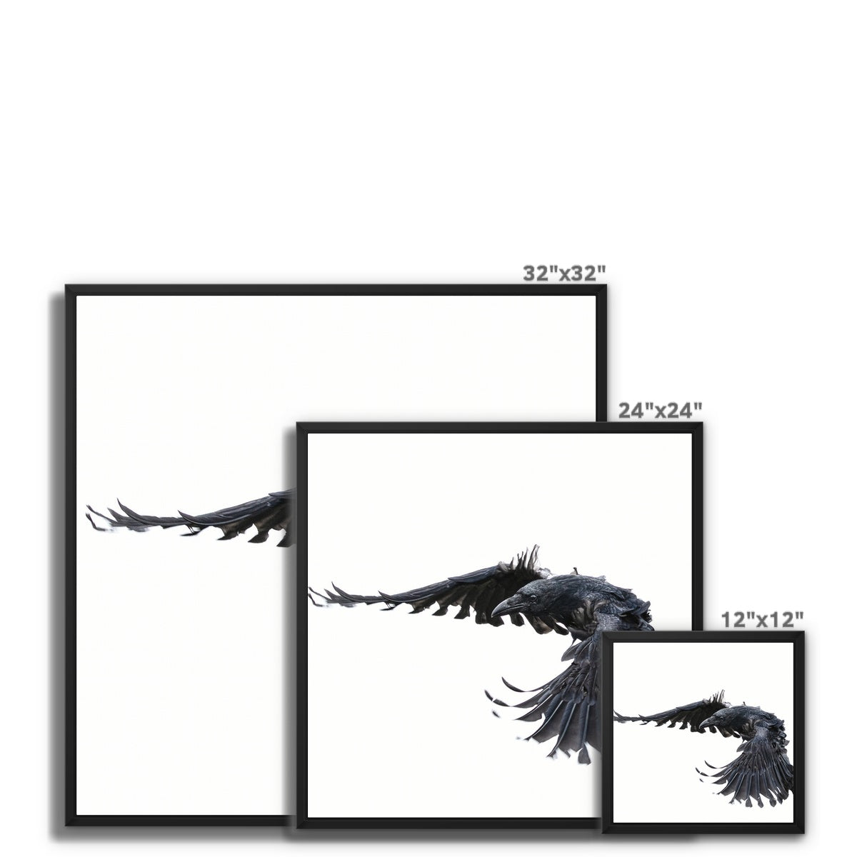 Raven 2 Framed Canvas