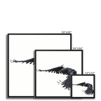 Raven 2 Framed Canvas