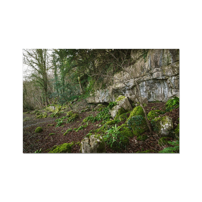 Woodwell Secrets Fine Art Print