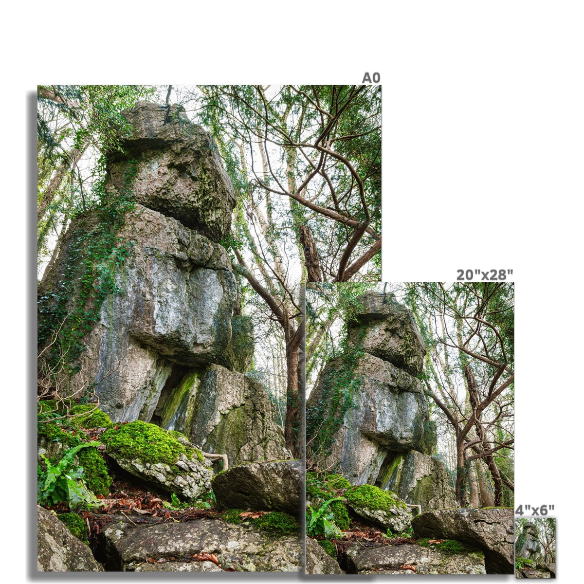 Rock Guardian Fine Art Print