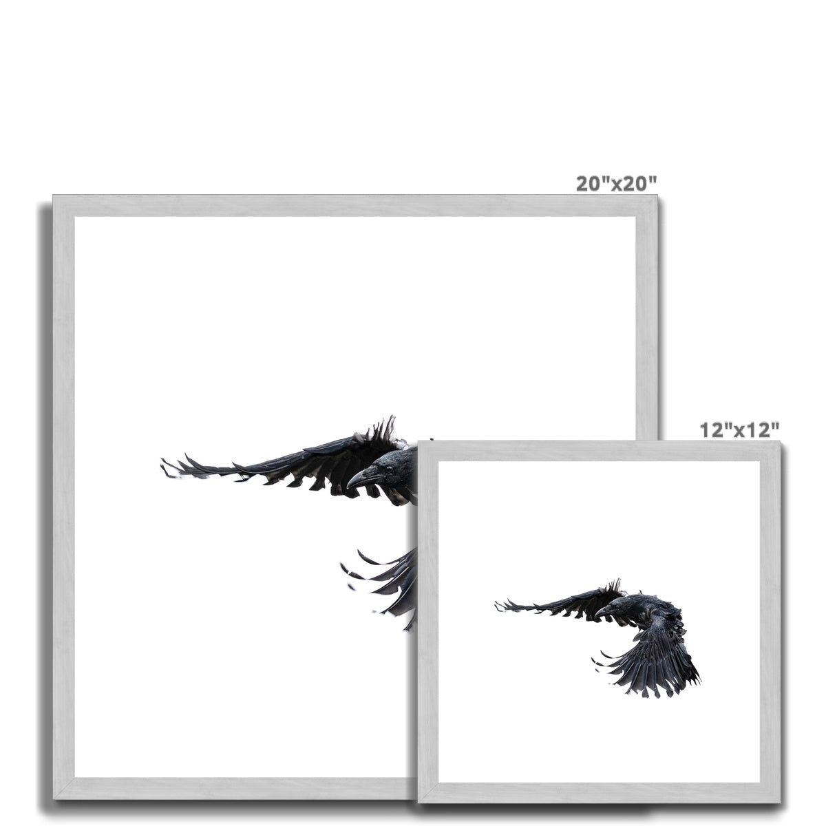 Raven 2 Antique Framed & Mounted Print