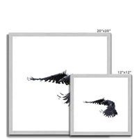Raven 2 Antique Framed & Mounted Print