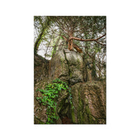 Boulder and Yew Hahnemühle Photo Rag Print