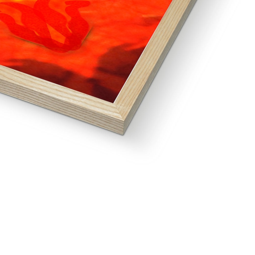 Fire Elemental Mandala Budget Framed Poster