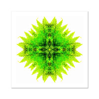 Spirit of Place Wall Art Poster