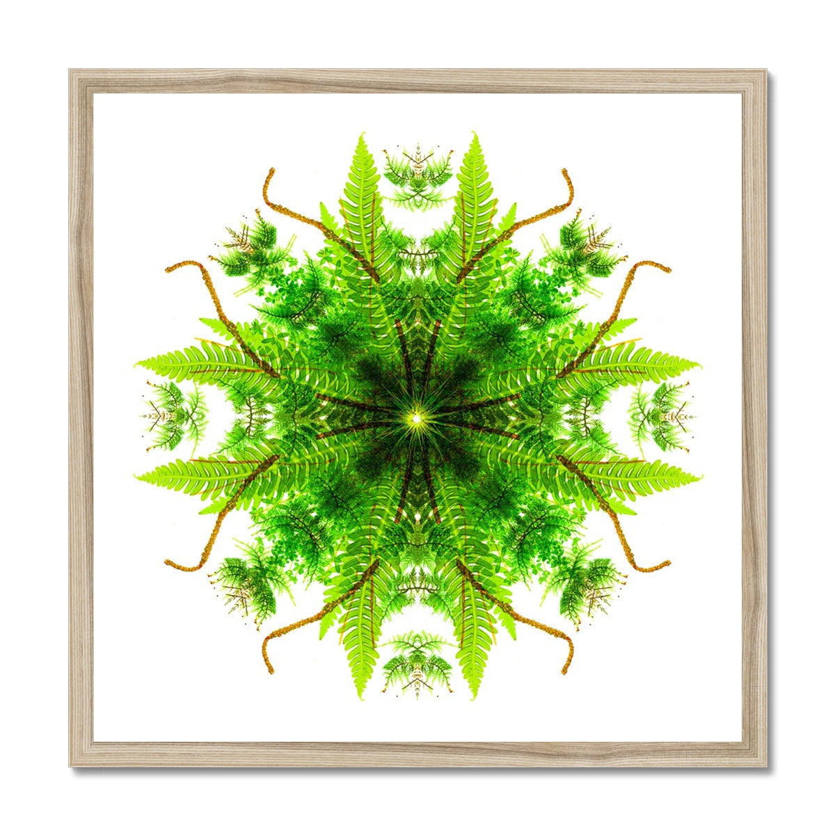 Heart of Nature Framed Print