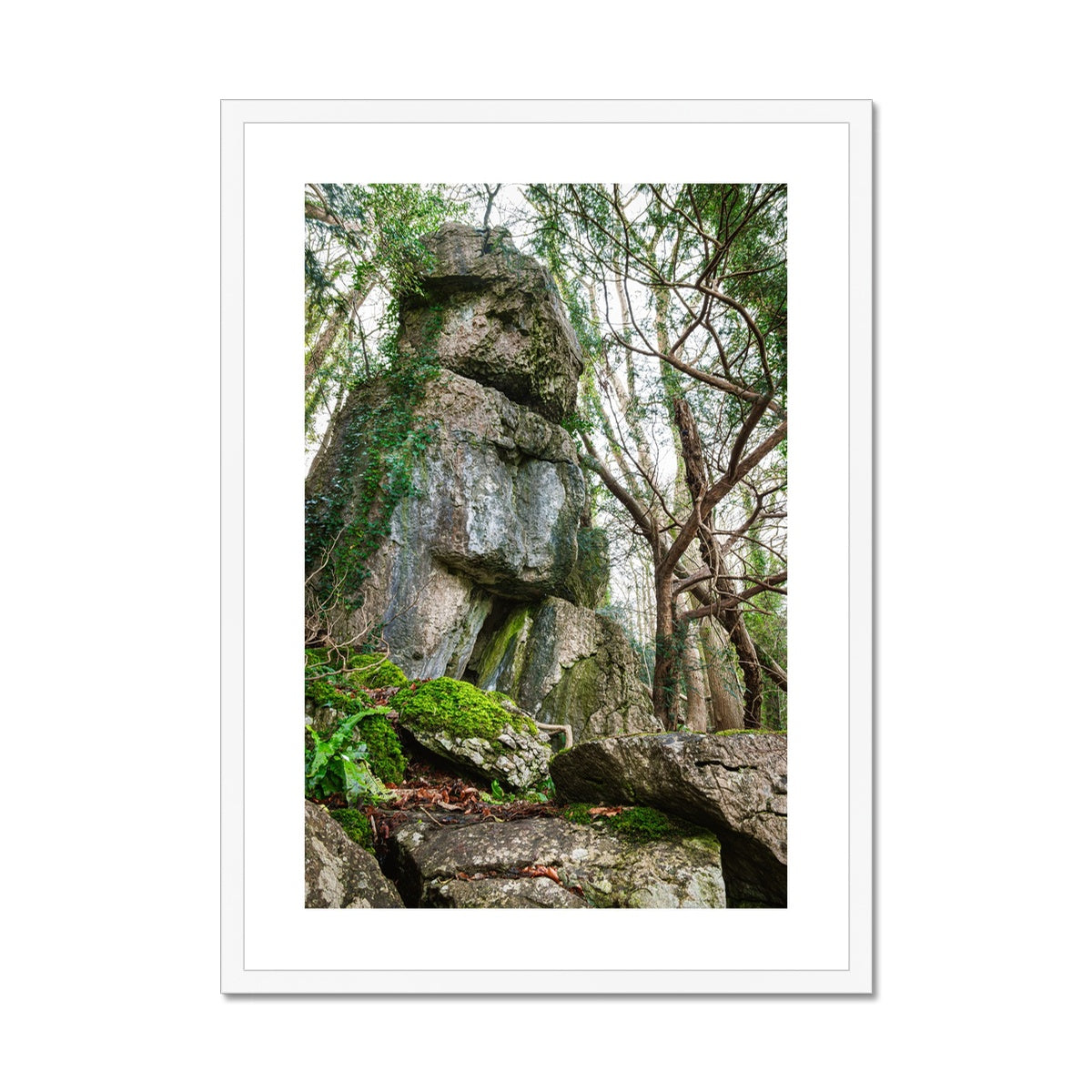 Rock Guardian Framed & Mounted Print