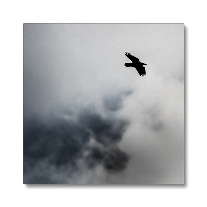 Storm Raven 2 Canvas