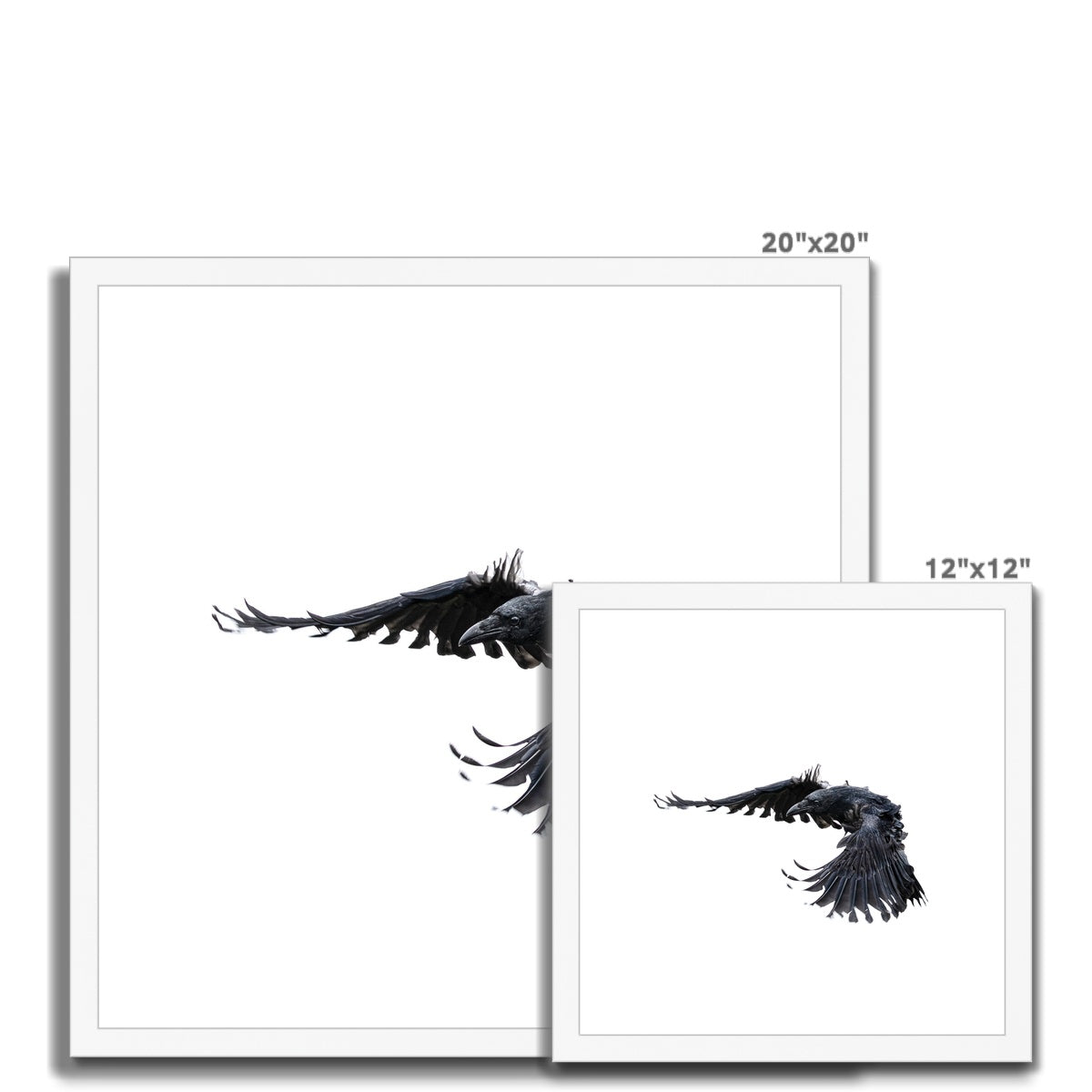 Raven 2 Framed & Mounted Print