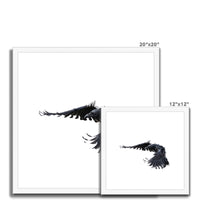 Raven 2 Framed & Mounted Print