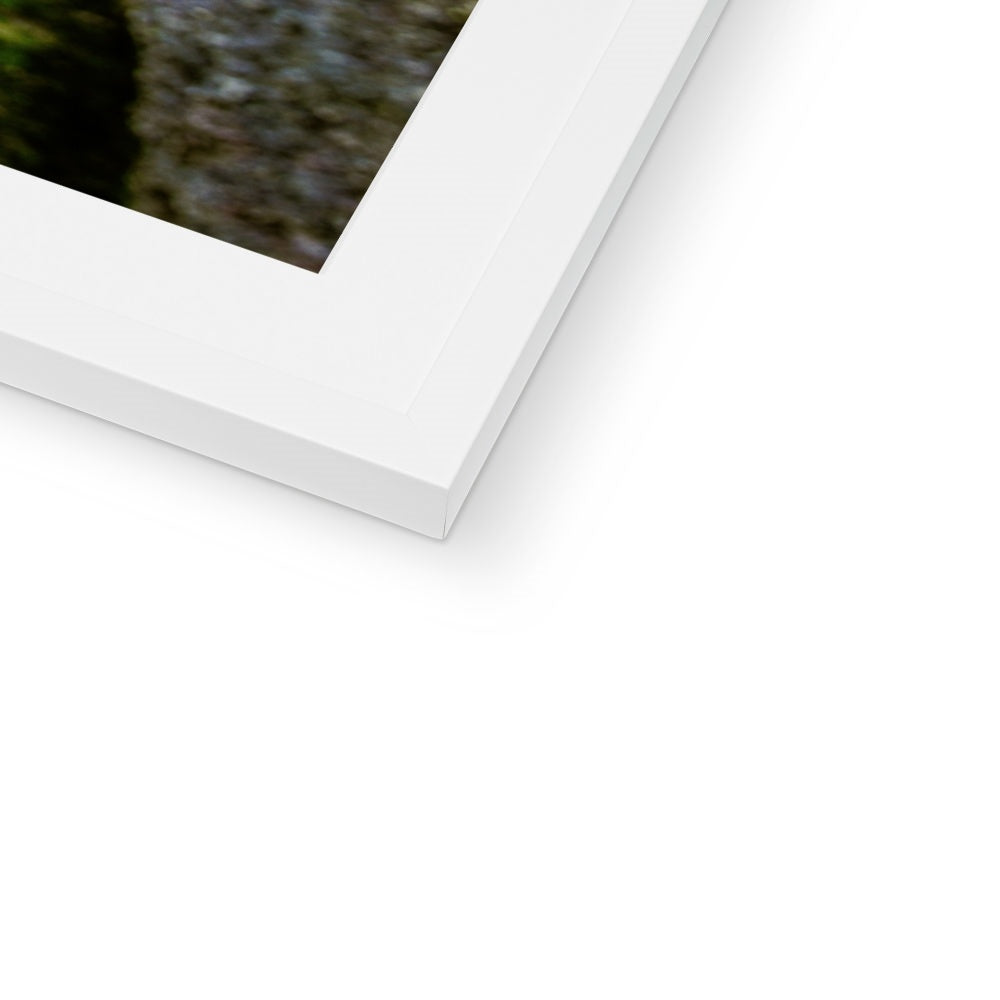 Woodwell basin Framed & Mounted Print