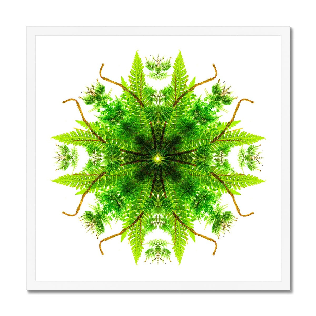 Heart of Nature Framed Print