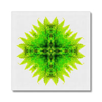 Spirit of Place Canvas
