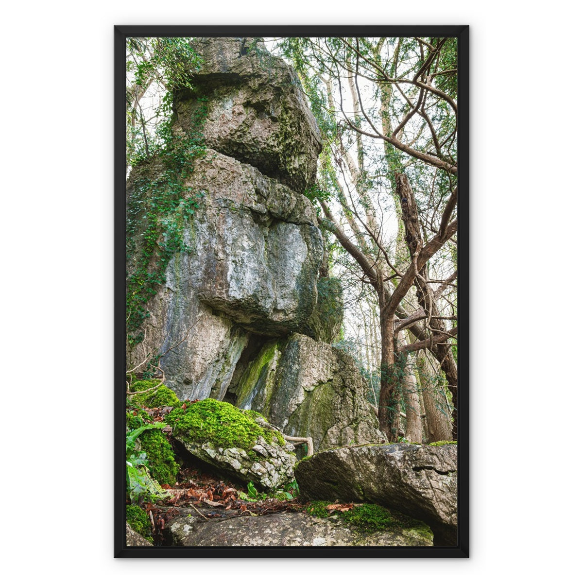 Rock Guardian Framed Canvas