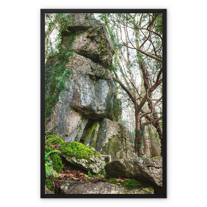 Rock Guardian Framed Canvas