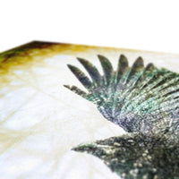 Woodland Crow Canvas