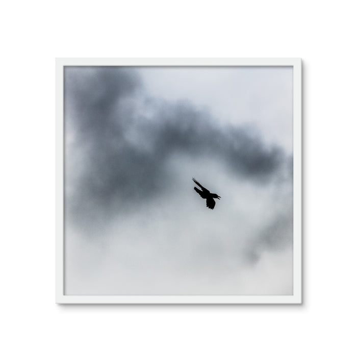Storm Raven 3 Framed Photo Tile