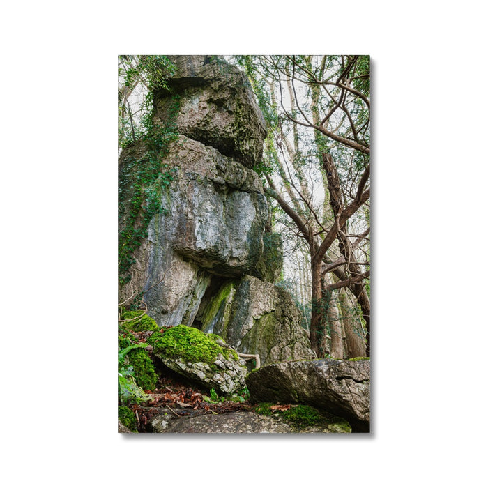 Rock Guardian Canvas