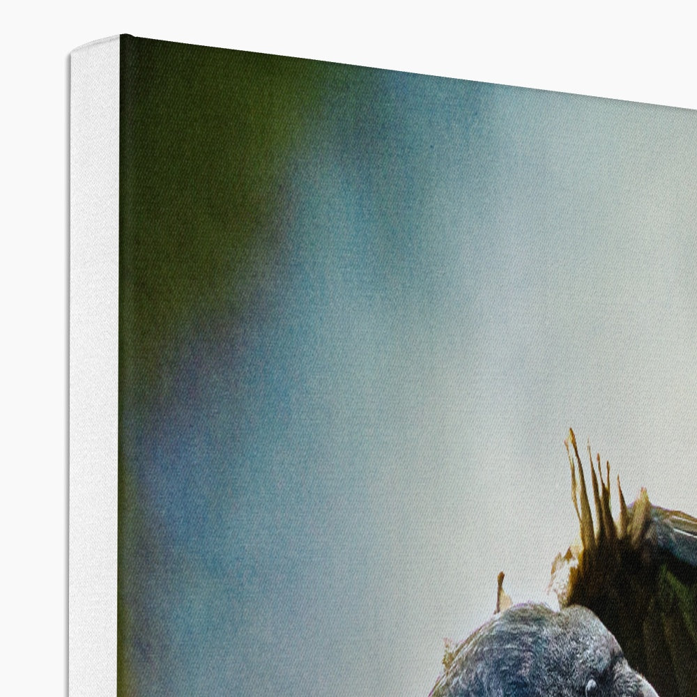 Odin's Ravens Canvas