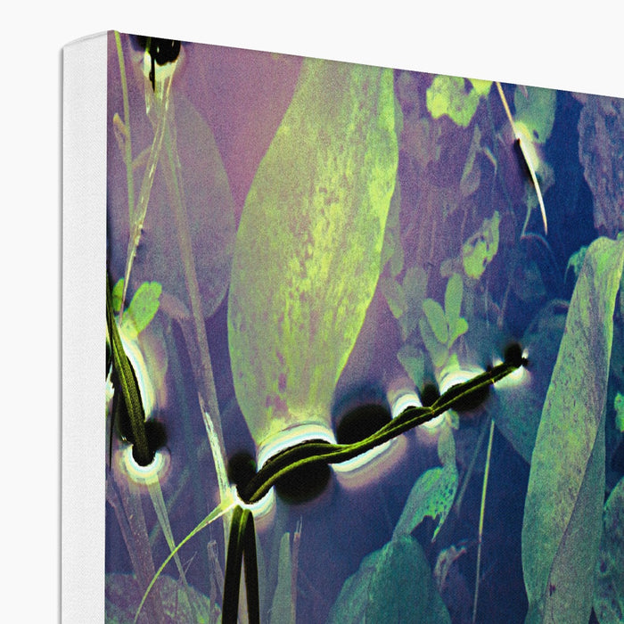 Sacred Pool Canvas