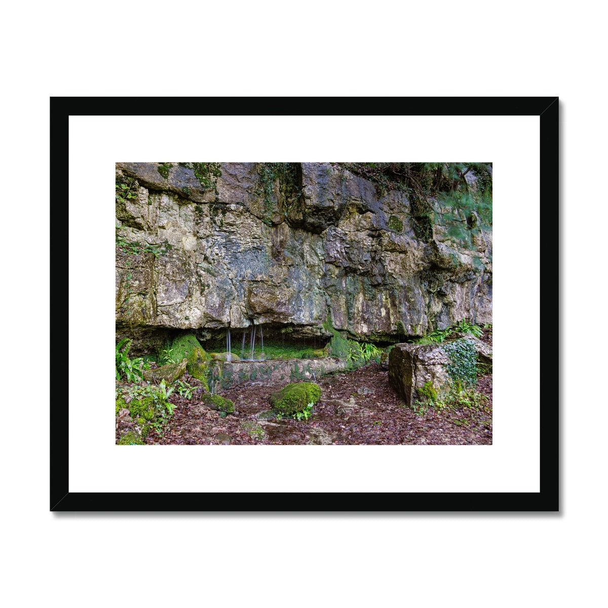 Woodwell Dawn Framed & Mounted Print