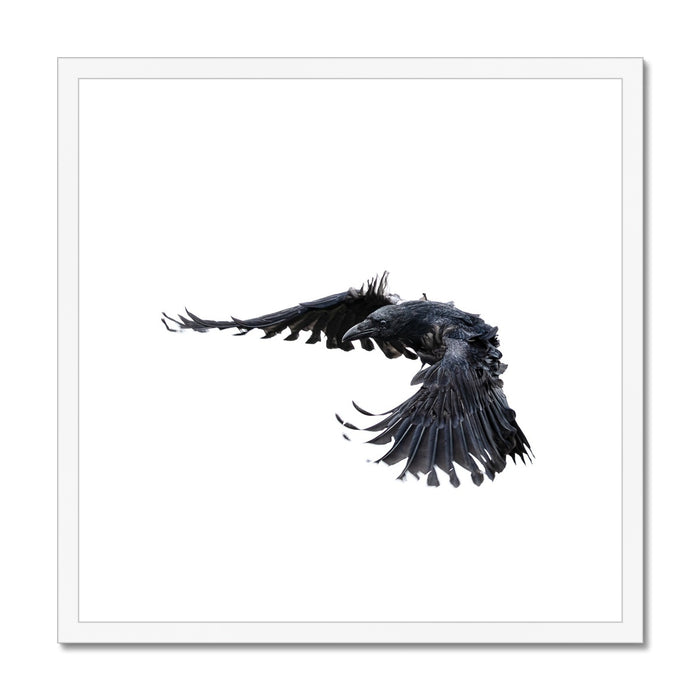 Raven 2 Framed & Mounted Print