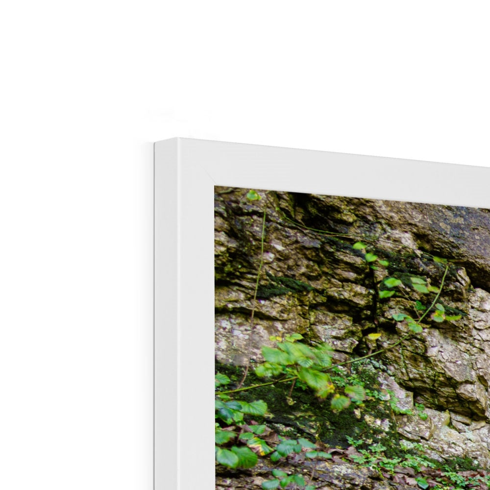 Woodwell Dawn Framed Print