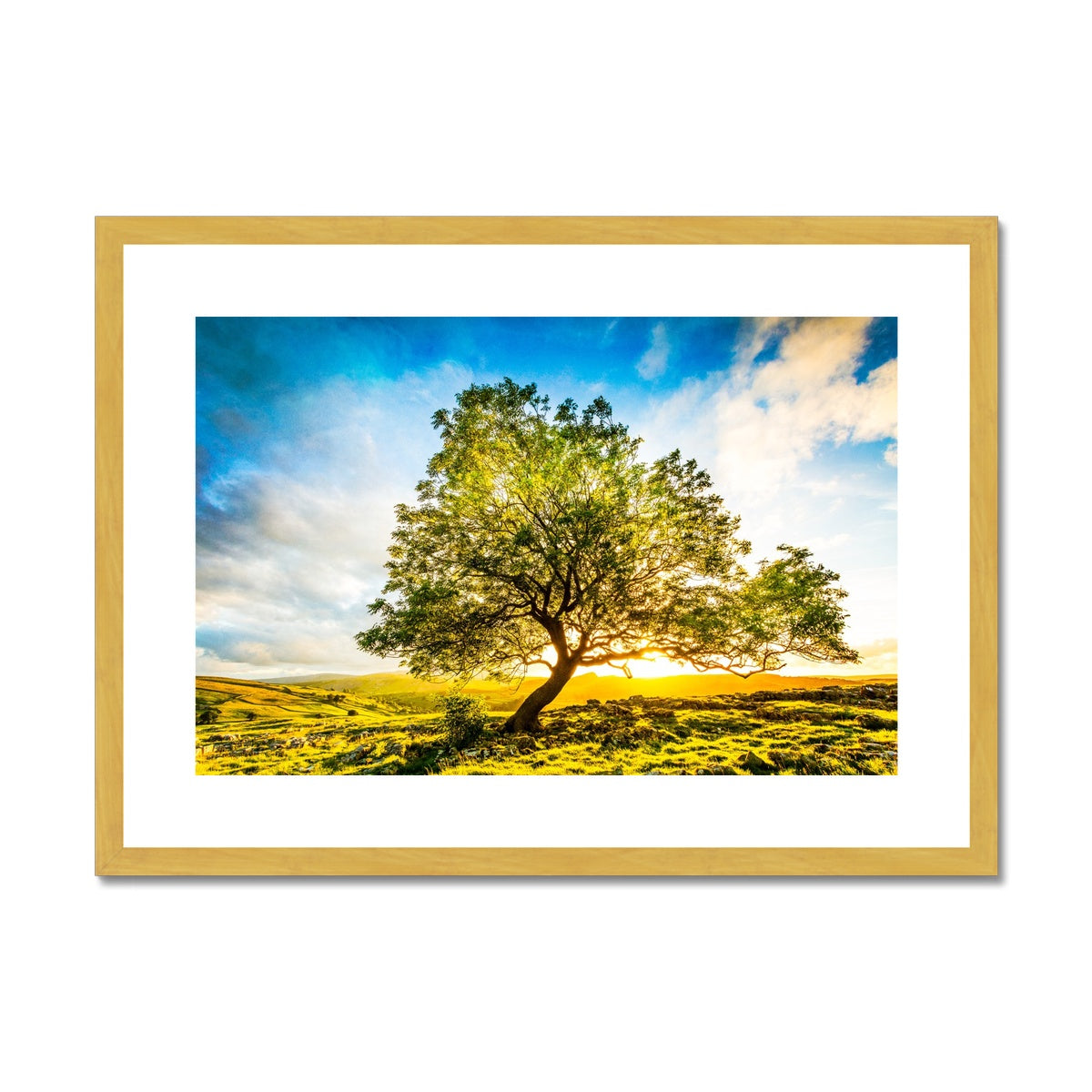 The Winskill Ash Antique Framed & Mounted Print