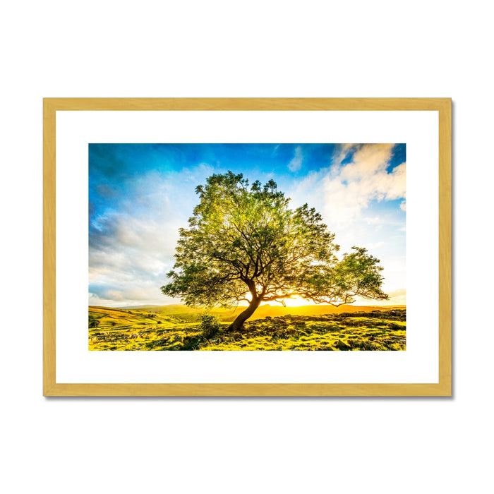 The Winskill Ash Antique Framed & Mounted Print