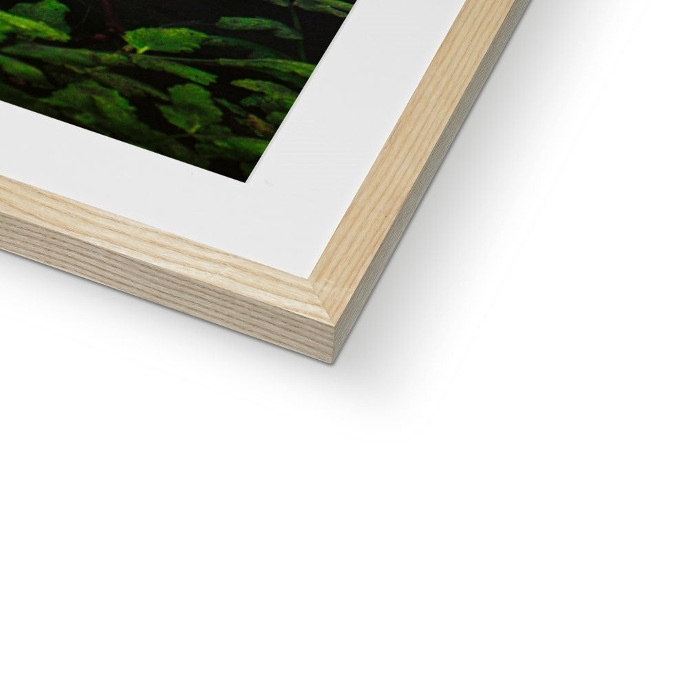 Sacred Pool Framed & Mounted Print