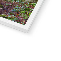 Woodwell Mystery Framed Print