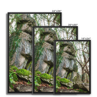 Rock Guardian Framed Canvas