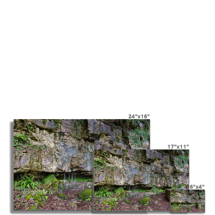 Woodwell Dawn Wall Art Poster