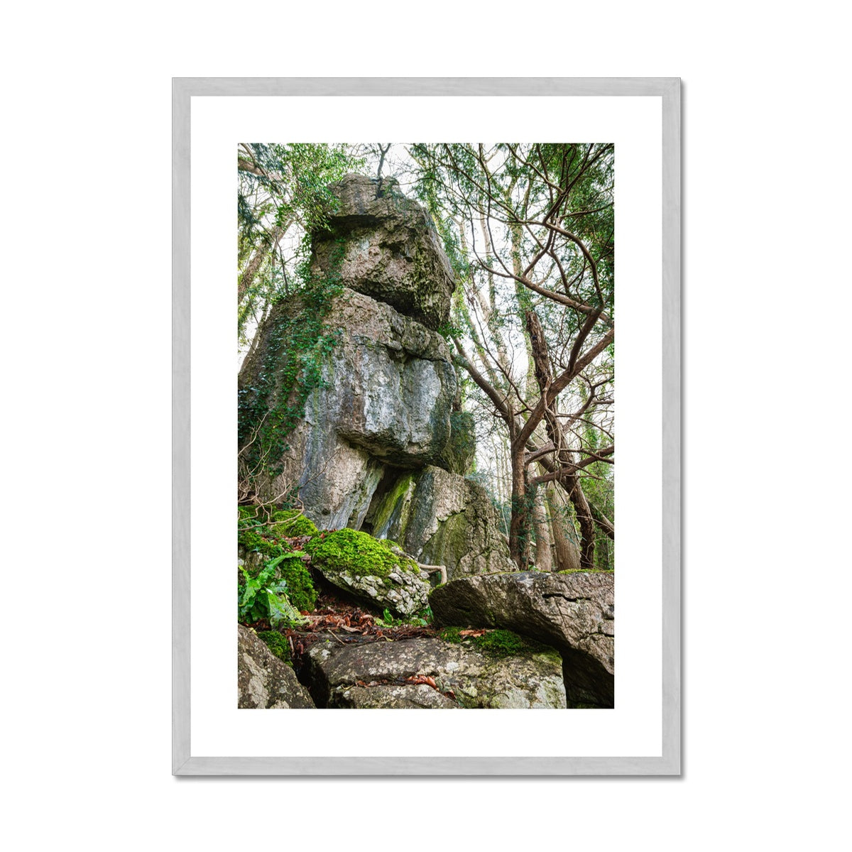 Rock Guardian Antique Framed & Mounted Print