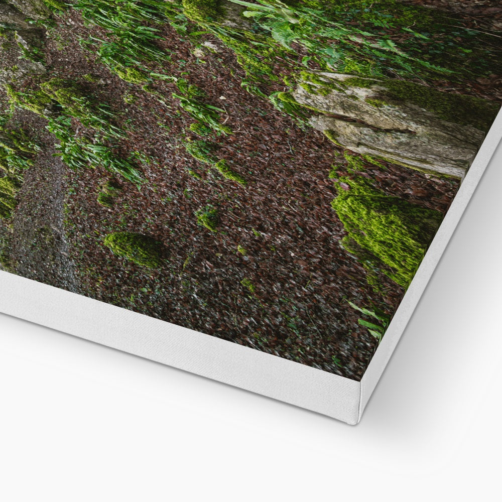 Woodwell Secrets Canvas