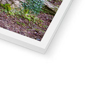 Woodwell Dawn Framed Print