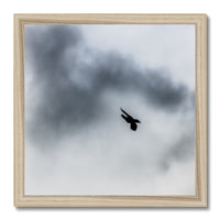 Storm Raven 3 Budget Framed Poster