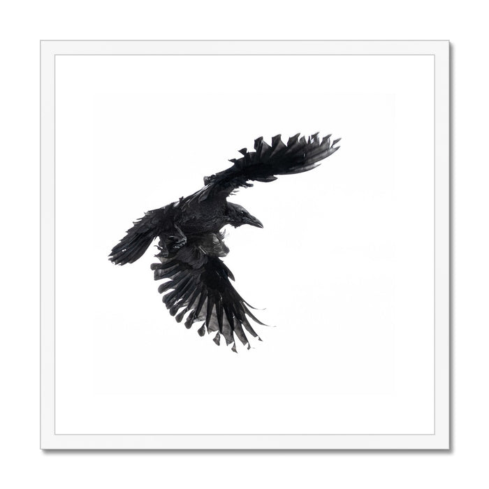 Raven 1 Framed & Mounted Print