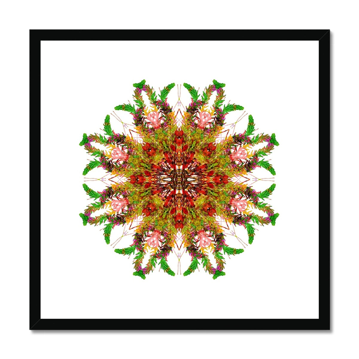 Bounty Mandala Framed & Mounted Print